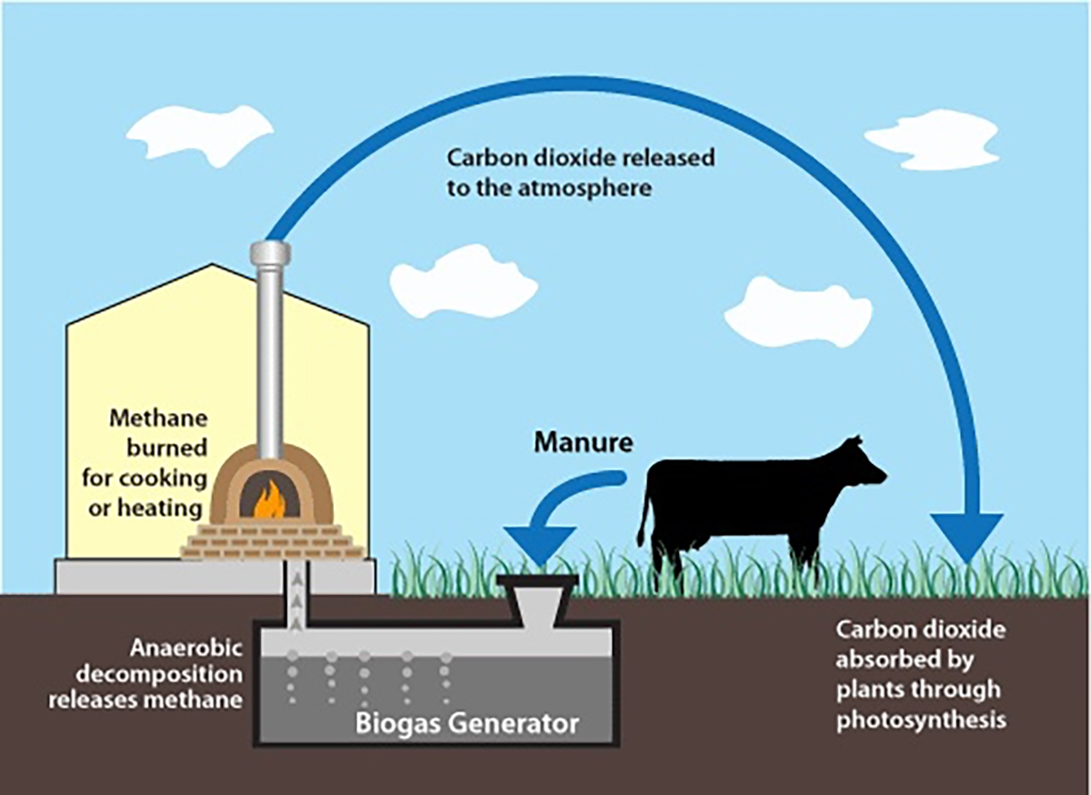 Cara meningkatkan produksi biogas
