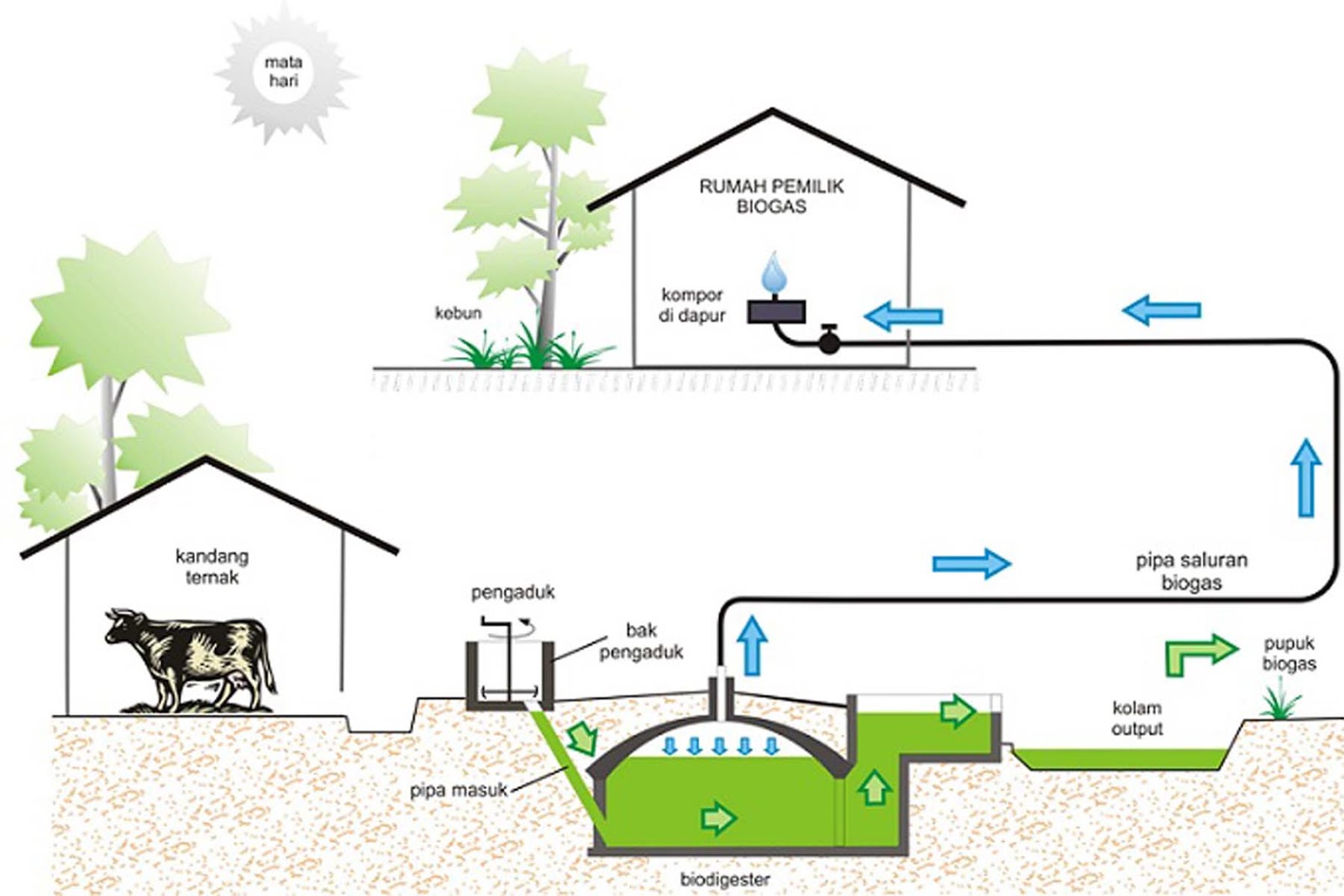 Pengolahan limbah tangga biogas proses kotoran pembuatan sapi skema komunal cair metana pupuk pembuangan produksi dalam pemanfaatan tanaman