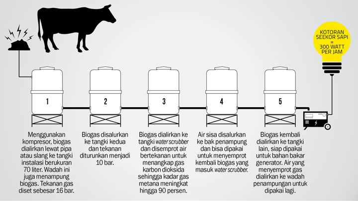 Biogas biogaz listrik tenaga instalatii centrala pembangkit schema anaerobic scrigroup digestion peralatan fasilitas belajar bersama biodigestor