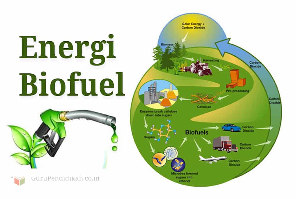 Biogas pemanfaatan sebagai skema energi