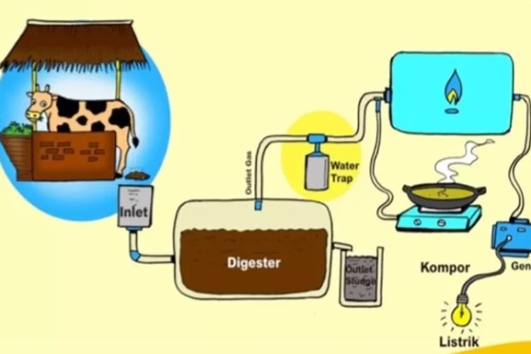 Biogas instalasi digester bahan alat diperlukan