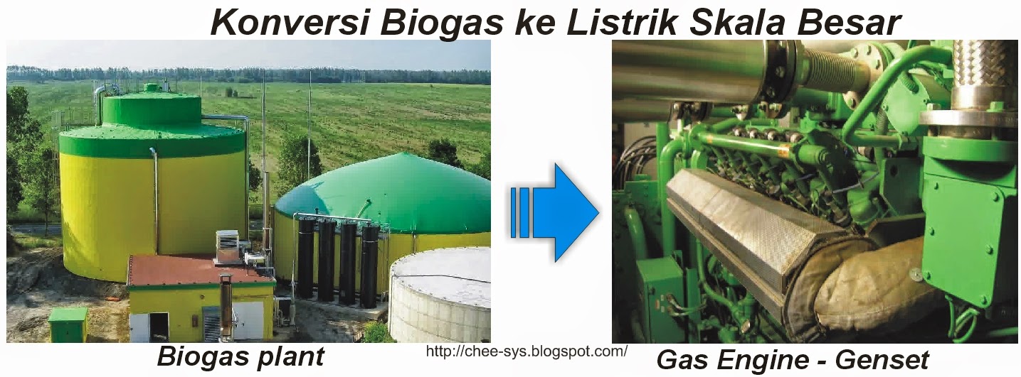 Biogas energi lahan gambut reaktor desa mongabay teluk zamzami undip riau meranti semarang pelalawan peneliti memeriksa