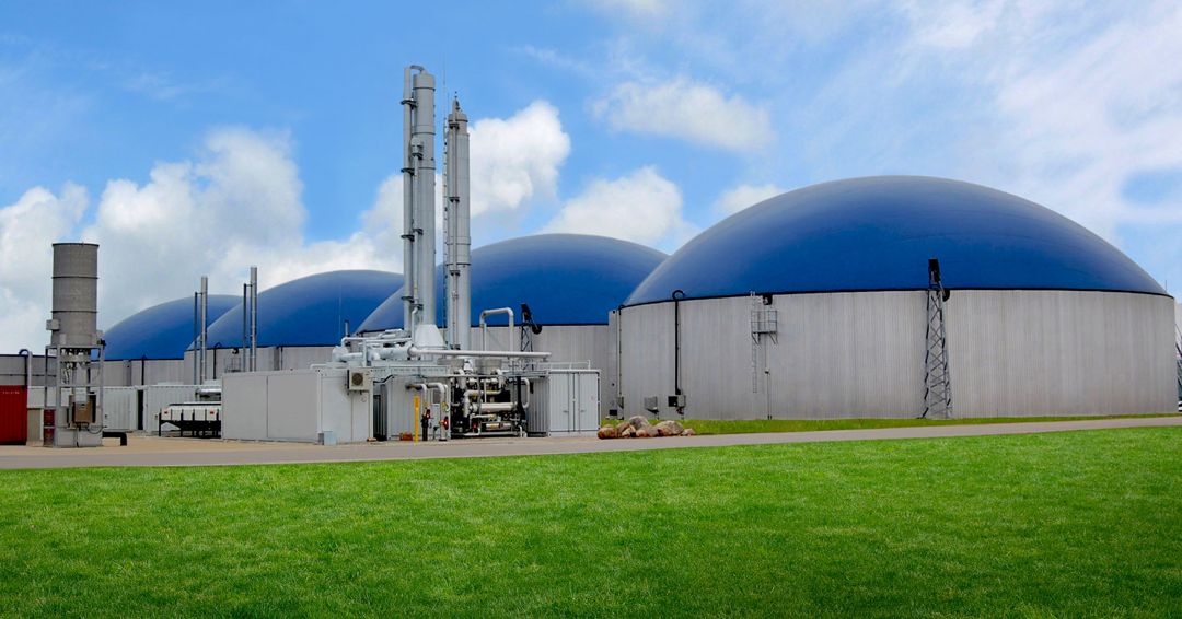 Biogas limbah energi ternak pengolahan panas listrik produksi bbm gantikan membantu merancang meningkatkan insinyur baik instalasi aliran melacak selama bagaimana