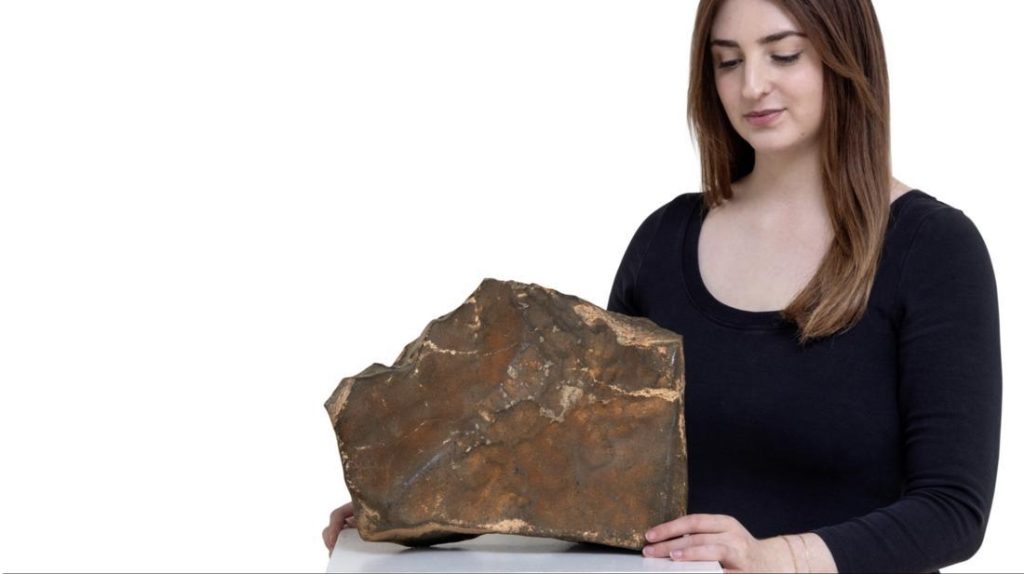 Meteorit Mars Terbesar Dilelang Sotheby’s: Siapkan Rp 65 Miliar